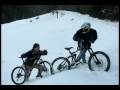videos de 