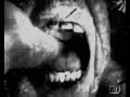 dear-dramatic-hamster.html