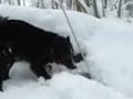I created this video with the YouTube Video Editor (http://www.youtube.com/editor)