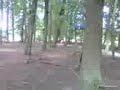 calv en ik springn in het bos :D