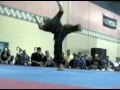 Matt Emig Forms/Weapons Sampler