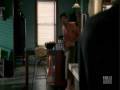 videos de Clueless: Seeley & Temperance
