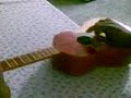 Guaracha de Cabimas