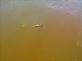 Tulsa,Oklahoma fishing for spoonbill