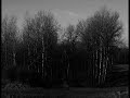 Nordvargr - Hascimh Reborn