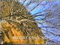 Saugat (1990), Nepali video movie, Song 3
