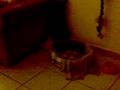 videos de maltez sisi-tasos