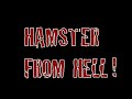 Hamster from Hell.mov