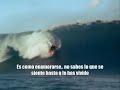 The Endless Summer