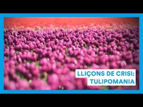 youtube-img