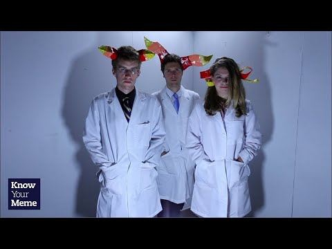 knowyourmeme. know your meme - Internet scientists explore the cult-like fandom surrounding Andrew Hussie's webcomic series Homestuck! For more info, KYMdb - Homestuck: http://knowyourmeme...