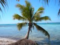 mas fotos de punta cana