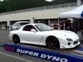 DYNO