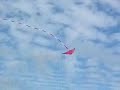 SIESTA KEY FLORIDA BEACH KITE FLYING