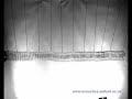 Longitudinal wave travel along a metal line