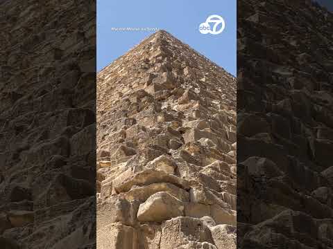 Dog climbs to the top of the Great Pyramid of Giza and comes down like ...