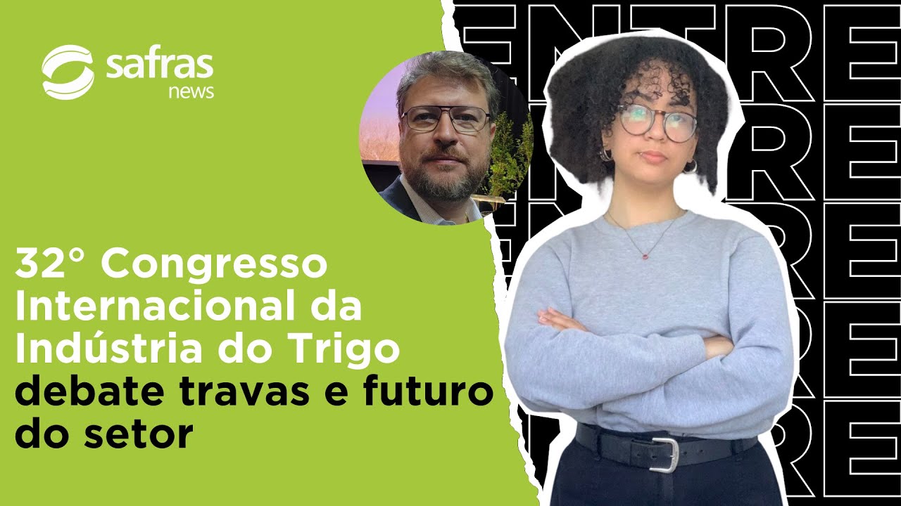 Mais moagem de trigo em 2025? Comercialização travada? Abitrigo projeta 2025