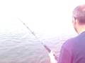 videos de Bill with a nice smoothhound