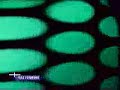 FastForward-Trailer alt (2) FastForward-Trailer alt (2)
