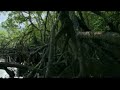 Respire Fundo! - Greenpeace