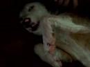 wocket was sleeeeppy :]