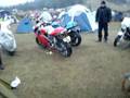 Cold Kiwi 08 - L Plate Ducati