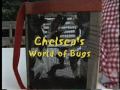Chelsea's World of Bugs
