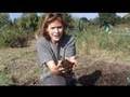 Manure! - Claire's Allotment Part 3