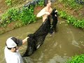pesca artesanal