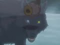 Wolf\ Wolf\
