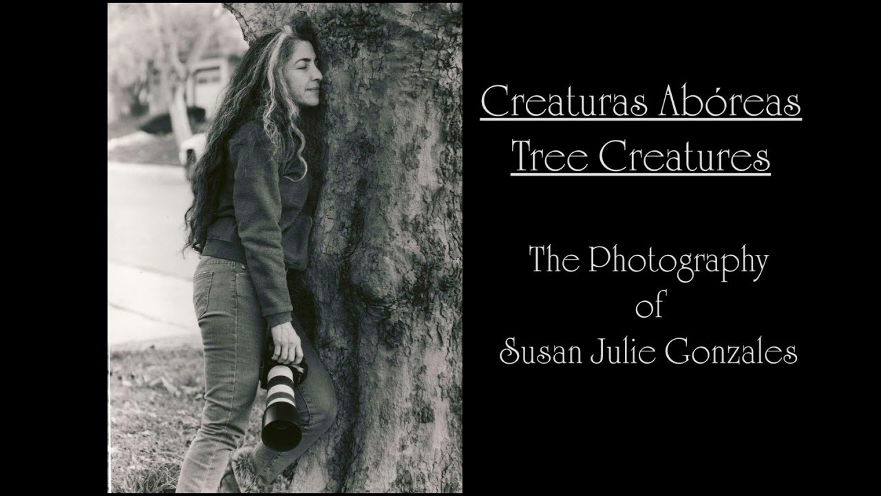 Creaturas Abóreas ~ Tree Creatures - The Photography of Susan Julie Gonzales