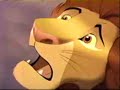 The Lion King - Joutsen