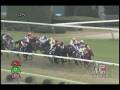 videos de [レースリプレイ] 081115 3福島7 12R 五色沼特別