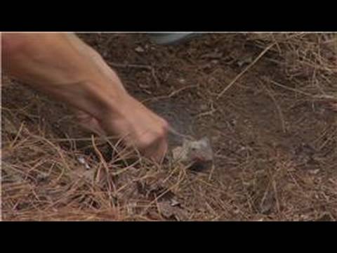 How to Use Plants & Animals to ...