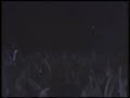 bob marley   i shot the sheriff   live  