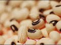 7 Supplements for Good Health #3 Fiber 7 Supplements for Good Health #3 Fiber