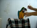 Romeo merienda Romeo merienda