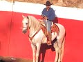 EL PEDREGAL