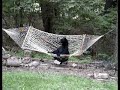 bear relaxing in hammock  c 
