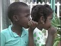 Windward Islands Travel Doc 05