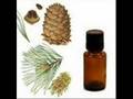 A Brief guide to Oils for Healthier Hair