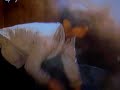 草津温泉でアトピーが直る　①