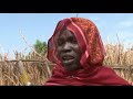 Click here to watch this video Sudanese border town struggles for normality