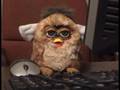 videos de Duu remember furbee luv
