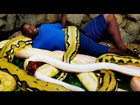 YouTube reptile video