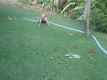I get wet