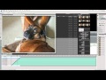 How To Make An Animated GIF