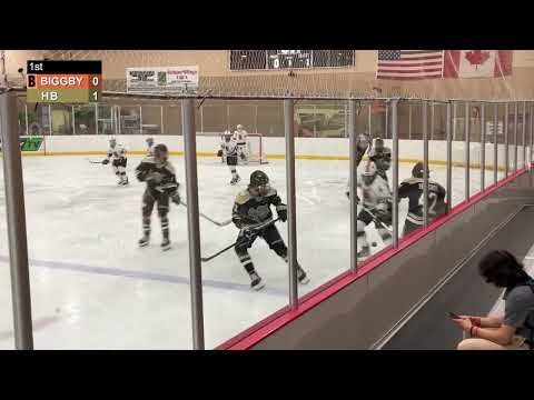 Goal #4 Purcell 20:37