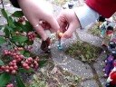 Reliprojekt zu Johannes dem Täufer