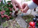 Reliprojekt zu Johannes dem Täufer
